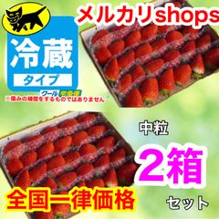 クール便★全国一律価格(送料込) 2箱セット かんちゃん農園の甘いいちご
