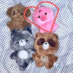 2025年最新】ドボイズ ソヌ ぬいぐるみの人気アイテム - メルカリ