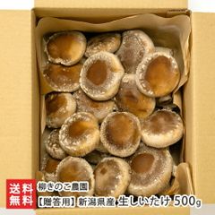 【贈答用】新潟県産 生しいたけ 500g