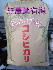 《新米》令和4年産　農薬不使用　さらにおいしいコシヒカリれんげ米　1キロ玄米