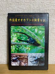 人魚の傷　アニメ　OVA版　DVD DVD OVA 人魚の傷 高橋留美子｜Yahoo!フリマ（旧PayPayフリマ）