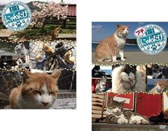 にゃんたび、プチにゃんたび(2枚セット)【全巻 趣味、実用 中古 DVD】レンタル落ち