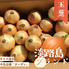 【順次出荷販売中】淡路島 ブランド玉ねぎ ターザン  5kg たまねぎセット｜高糖度で甘い！国産野菜 中生品種 家庭用・業務用に人気  保存も安心◎