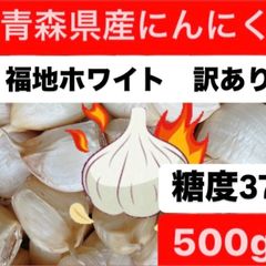 青森県産にんにく　福地ホワイト訳あり500g