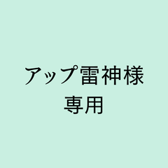 専用ページ  アップ雷神 様