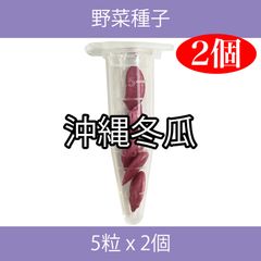 野菜種子 EAE 沖縄冬瓜 5粒 x 2個