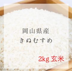 農薬不使用】令和7年産きぬむすめ 15kg 玄米 - メルカリ