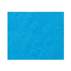 Item thumbnail for item 44b7ed78-a9cc-4530-9c58-710dddaa7526