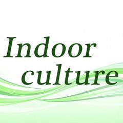 Indoor culture
