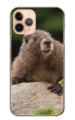 Galaxy A36 5G SC-54F ケース カバー ギャラクシーA36 スマホケース ハードケース マーモット まーもっと 叫ぶ 動物 あにまる 癒し 可愛い かわいい 写真 山脈 リス科 カラー02