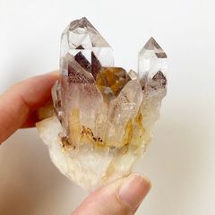 蛍光美フローライト ラベル付き】フローライト、カルサイト共生標本