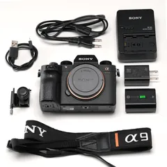 美品　SONY α9 2025年最新】Yahoo!オークション -sony α9の中古品・新品・未使用品一覧