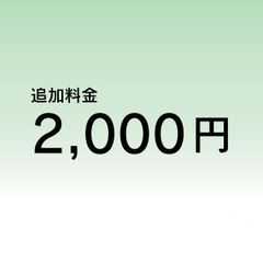 沖縄県、離島 追加2000円 - メルカリ