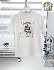 【今日特価】DIOR ディオール 25SS プレミアムロゴプリント 円領 T シャツ-2