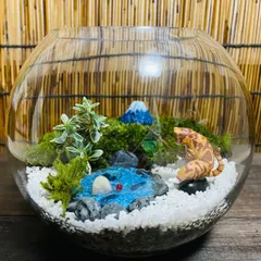 盆栽 『ウツギ 石付き』 石 インテリア 観葉植物 園芸 送料無料 b109