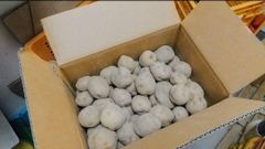 じゃがいも「キタアカリ」10kg 北海道産