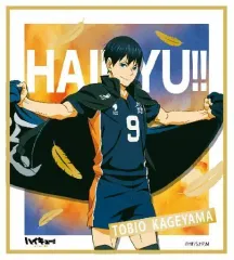 【中古】紙製品(キャラクター) 影山飛雄 「ハイキュー!! TO THE TOP 箔押しミニ色紙コレクション」