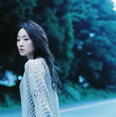 安藤裕子 / and do.record/サリー 12INCHレコード2枚セット Amazon.co.jp: and do,record.(CCCD): ミュージック