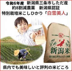 【限定】（餅米）20キロ静岡県産令和7年度産新米 玄米 色選４回冷蔵庫保管もち米 限定】（餅米）20キロ静岡県産令和7年度産新米 玄米 色選4回冷蔵庫