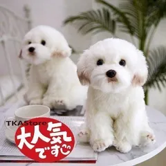 新品未開封8体maltese 犬マルチーズ レトリバー 韓国 ランダム