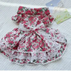 Ｌサイズ⭐︎犬・猫・兼用⭐︎アンティーク風デザインのお嬢様ワンピース⭐︎(94)