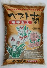 本物の焼赤玉！！ 【ベスト蘭】16L 蘭 化粧砂