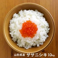 ササニシキ 10kg (無洗米・白米・玄米) 山形県産 令和4年 10キロ
