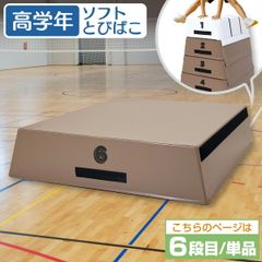 KaRaDaStyle 跳び箱 室内 子供 高学年向け ソフト 飛び箱 とび箱 ジョイント式 小学生 指導ライン 高重量 運動 自宅 子ども 室内 家庭用 6段目のみ 単品