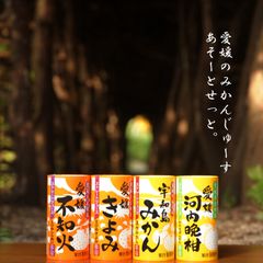 九州旬食館 長崎県産 びわ 身割れ 6缶セット& 熊本県産 新高梨 2缶