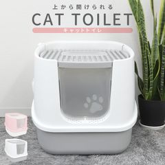 Item thumbnail for item 4da92c47-5df0-4d0f-b9ac-5d3f6f29413a