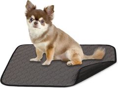 Item thumbnail for item 725d8456-0541-4049-af8f-152d7bbbea72