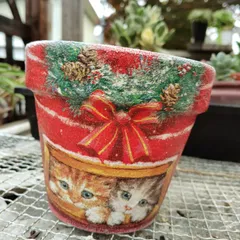 スギさまご購入品リメイク鉢4号 ホワイトクリスマス