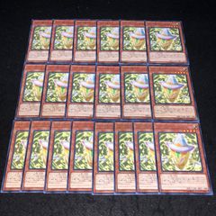 遊戯王 NO.880 字レア ピカリ@イグニスター 20枚