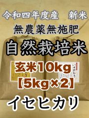 【イセヒカリ】玄米10kg 新米　令和4年度兵庫県産 無農薬無施肥の自然栽培米