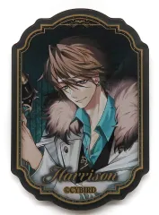 イケメンヴィラン　BIGアクリルスタンド　ハリソン イケメンヴィラン ハリソン BIGアクリルスタンド 2024 - メルカリ