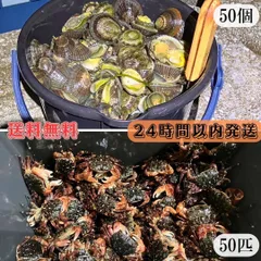 石鯛釣りエサ
活バフンウニ　2k　四国　関西　中国地方 2025年8月】石鯛 餌のおすすめ人気ランキング - Yahoo!ショッピング