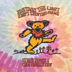 00年代 GRATEFUL DEAD グレイトフルデッド タイダイ バンドTシャツ デッドベア メンズL相当 