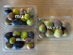 西洋いちじく　クール便
