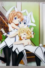 【中古】タペストリー ココア＆チノ＆シャロ アニメ描き下ろしB2タペストリー 「Blu-ray/DVD ご注文はうさぎですか??」 とらのあな全巻購入特典