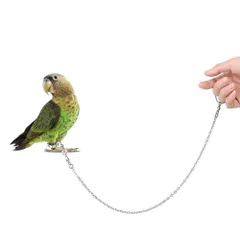 2025年最新】オカメインコ リードの人気アイテム - メルカリ