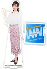 【中古】アクリルスタンド・アクリルパネル [単品] 江川清音 キャスターアクリルスタンド 「ウェザーニュースLiVE」 Youtubeフォロワー100万人突破記念番組グッズ キャスターアクリルスタンド箱推しセット 同梱品