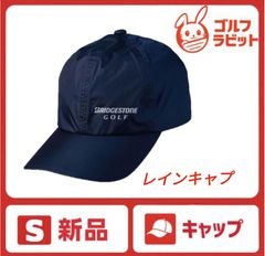 Item thumbnail for item 56565c76-615b-47b6-8af3-3c1082bb728b