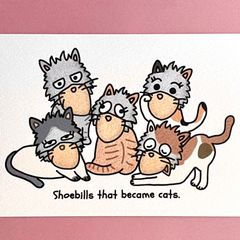 『猫になってみたハシビロコウたち🐈🐈‍⬛』イラストカード💌