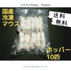 送料無料 冷凍マウスホッパー10匹 - メルカリ