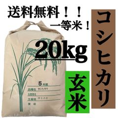 玄米　20kg  コシヒカリ　新米　埼玉県産　令和5年産　送料無料　米　20キロ