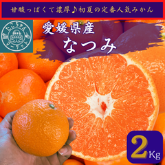 【おやつにムキムキ☆突っ込みかん】愛媛県産　味は濃厚★なつみ　カラマンダリン　2kg