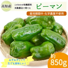 ピーマン 約850g 約25個 天敵農法 かめのこ農園 栽培期間中 化学肥料不使用 高知産 国産 安心 安全 産地直送 野菜 ヤマト発送