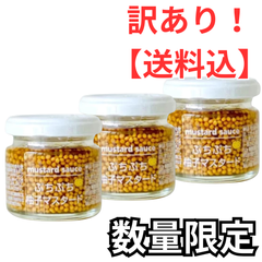 【訳あり】【３個セット】ファインド・ニューズ ぷちぷち柚子マスタード 60g 大分県産 国産 マスタード◎訳あり商品（期限：2025/7/28）