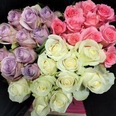 バラ  A  3色 40センチ30本切り花生花