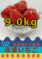 冷凍いちご　9.0kg